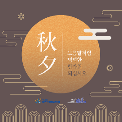 SNS 이미지