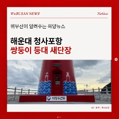 SNS 이미지